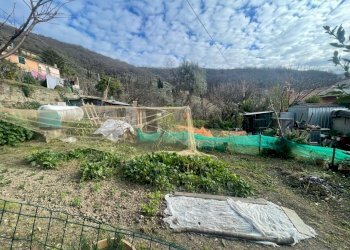 dd1b631e-fa3b-47cc-848c-0d685fe09e56 - Trilocale via Rupanego, Sori - foto 22