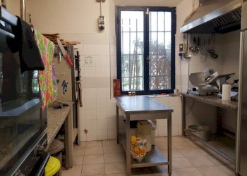 20230320_125459.jpg - Bar Tavola Calda - Fredda Viale Europa, Lucca - foto 14