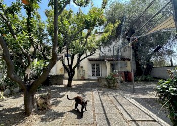 IMG_9886.jpeg - Rustico via Garibaldi, Diano San Pietro - foto 6