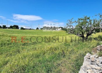 20230527_101753.jpg - Baita Via Chiancaro 96, Martina Franca - photo 26