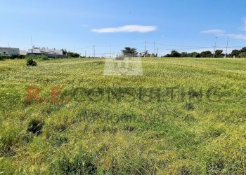 20230527_101757.jpg - Baita Via Chiancaro 96, Martina Franca - photo 25