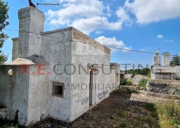 20230505_102352.jpg - Baita Strada Paretone Zona I 331, Martina Franca - photo 4