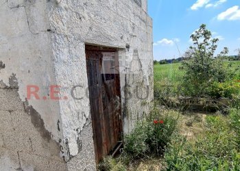 20230505_103240.jpg - Baita Strada Paretone Zona I 331, Martina Franca - photo 20