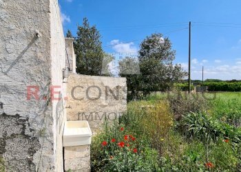 20230505_103251.jpg - Baita Strada Paretone Zona I 331, Martina Franca - photo 21