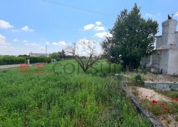 20230505_103343.jpg - Baita Strada Paretone Zona I 331, Martina Franca - photo 24