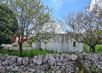 20230505_103446.jpg - Baita Strada Paretone Zona I 331, Martina Franca - photo 25