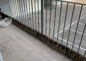 balcone - Monolocale via Venezia, 35, Alessandria - foto 11