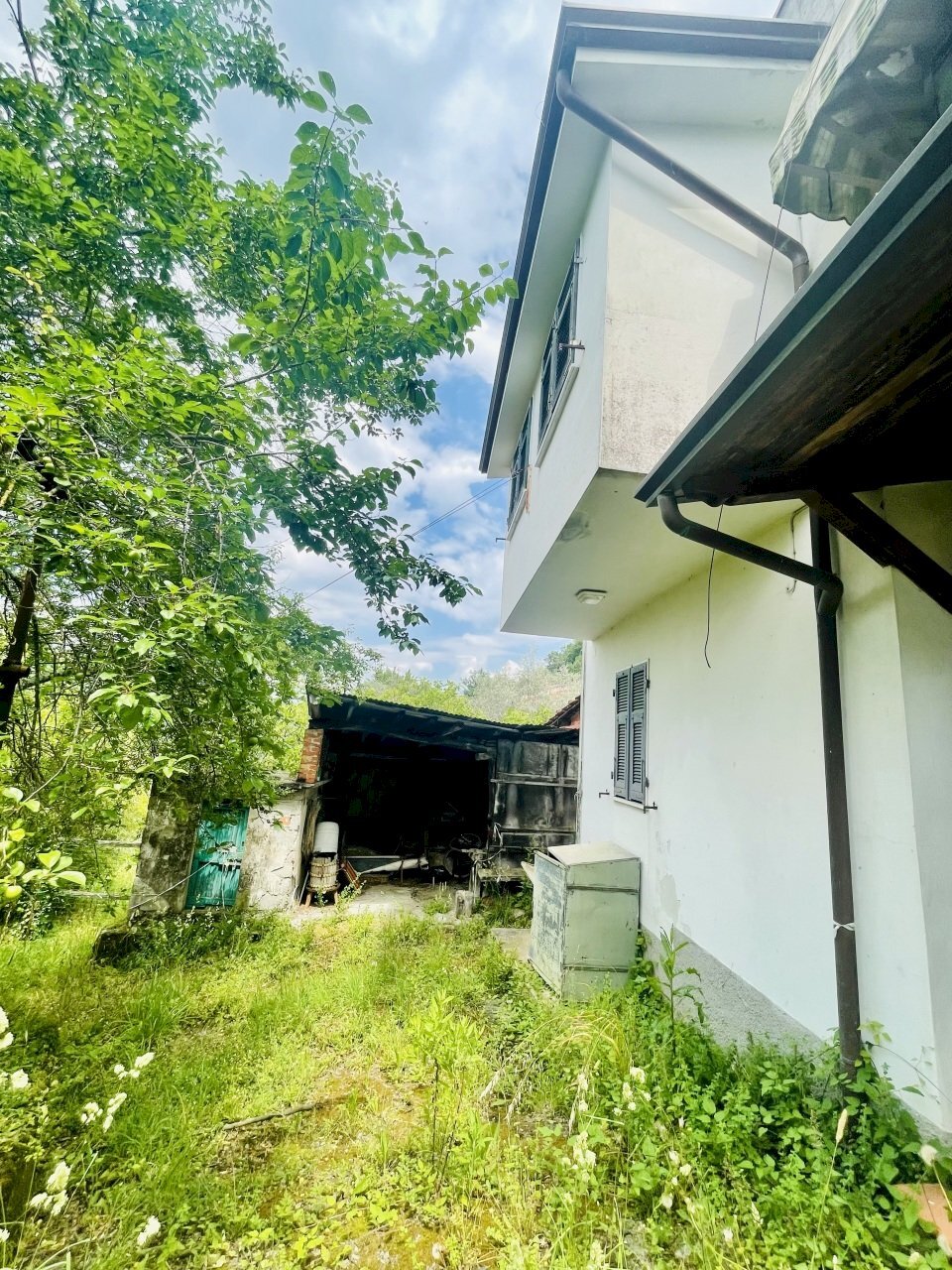 IMG_0571.jpg - Semi-detached house Sarzana - photo 2