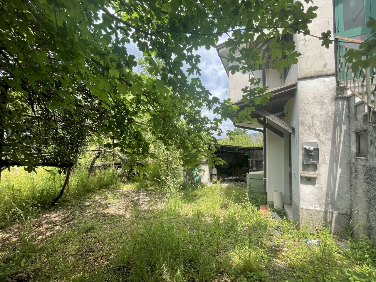 IMG_0569.jpg - Semi-detached house Sarzana - photo 3