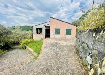 IMG_0565.jpg - Independent house Sarzana - photo 3