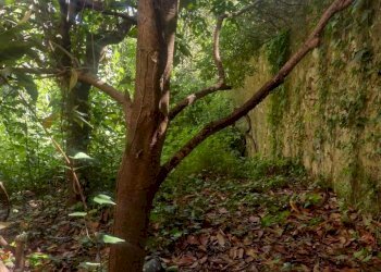 index15.jpg - Villa Canicattini Bagni - foto 11