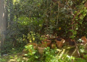 index12.jpg - Villa Canicattini Bagni - foto 14