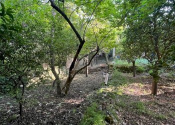 Senza titolo15.jpg - Villa Canicattini Bagni - foto 28