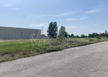 IMG_9635.jpeg - Terreno edificabile Via Germania, Occhiobello - foto 3