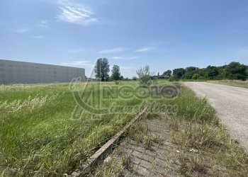 IMG_9640.jpeg - Terreno edificabile Via Germania, Occhiobello - foto 8