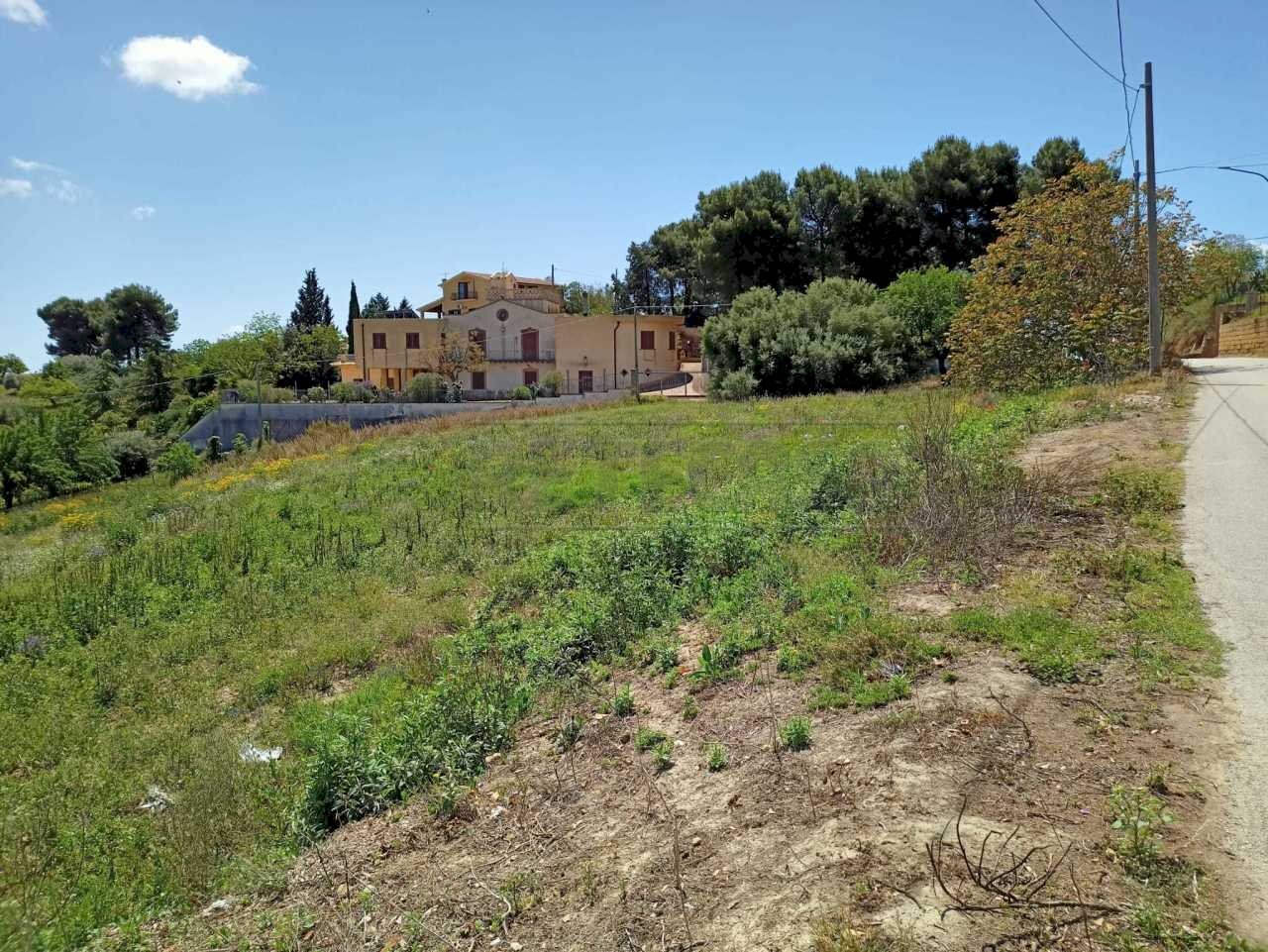 WhatsApp Image 2023-05-11 at 15.52.13.jpeg - Terreno agricolo c/da sant'anna, Caltanissetta - foto 2