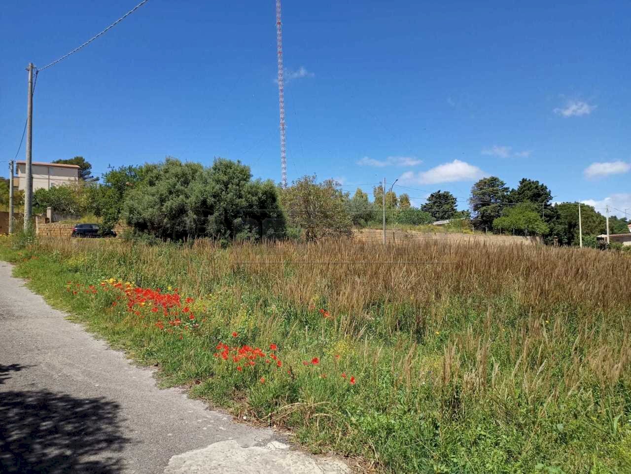 WhatsApp Image 2023-05-11 at 15.52.14.jpeg - Terreno agricolo c/da sant'anna, Caltanissetta - foto 3