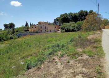 WhatsApp Image 2023-05-11 at 15.52.13.jpeg - Agricultural land c/da sant'anna, Caltanissetta - photo 2