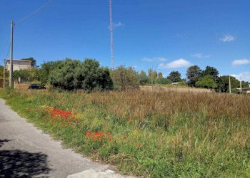 WhatsApp Image 2023-05-11 at 15.52.14.jpeg - Agricultural land c/da sant'anna, Caltanissetta - photo 3