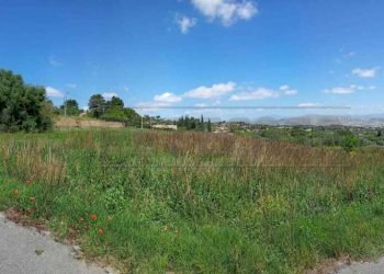 WhatsApp Image 2023-05-11 at 15.52.15.jpeg - Agricultural land c/da sant'anna, Caltanissetta - photo 4