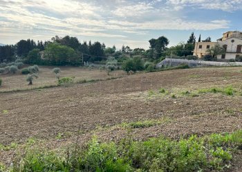 WhatsApp Image 2023-05-31 at 10.41.21.jpeg - Agricultural land c/da sant'anna, Caltanissetta - photo 5