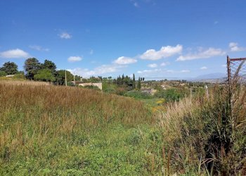 WhatsApp Image 2023-05-31 at 10.51.44 (1).jpeg - Agricultural land c/da sant'anna, Caltanissetta - photo 6