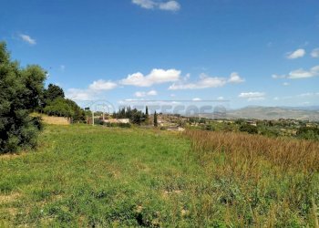 WhatsApp Image 2023-05-31 at 10.51.44 (2).jpeg - Agricultural land c/da sant'anna, Caltanissetta - photo 7