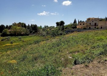 WhatsApp Image 2023-05-31 at 10.51.44 (3).jpeg - Agricultural land c/da sant'anna, Caltanissetta - photo 8