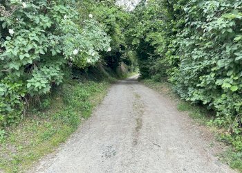 Casa indipendente Nizza Monferrato - foto 14