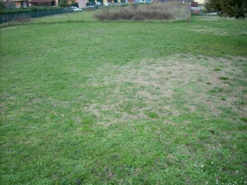 Terreno edificabile San Leo - foto 1