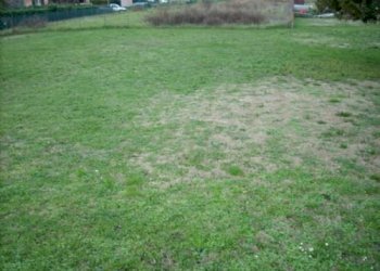 Terreno edificabile San Leo - foto 1