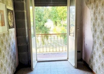 Salone - Terreno agricolo Minerbio - foto 34