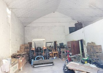 Magazzino - Terreno agricolo Minerbio - foto 37