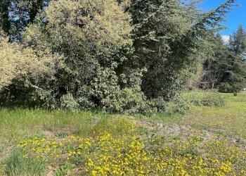 immobile - Stabile - Palazzo via Pasinetti, Trescore Balneario - foto 2