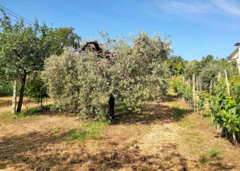 WhatsApp Image 2023-06-01 at 16.38.07 (1).jpeg - Villa Amelia - photo 15