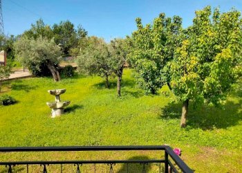 WhatsApp Image 2023-06-01 at 16.38.36 (4).jpeg - Villa Amelia - photo 21