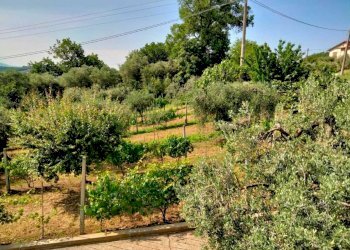 WhatsApp Image 2023-06-01 at 16.38.36.jpeg - Villa Amelia - photo 22