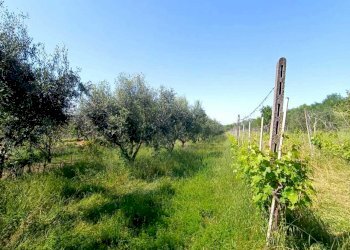 4fbda35b-a149-4e82-b0e1-5fbf41cebf25.jpg - Villetta Via collina italia 2651, Poggio Torriana - foto 4