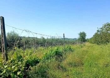 24bc8334-8163-4383-b68b-f39263d91cf0.jpg - Villetta Via collina italia 2651, Poggio Torriana - foto 7