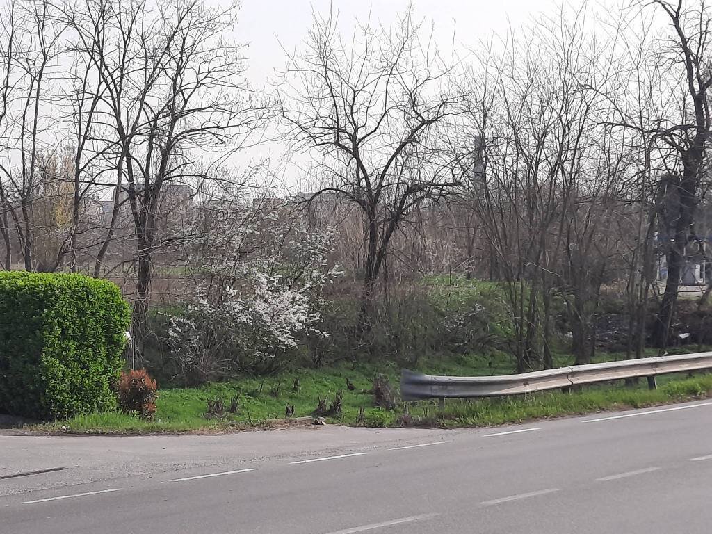 TERRENO INDUSTRIALE/COMMERCIALE - Terreno edificabile Tortona - foto 1