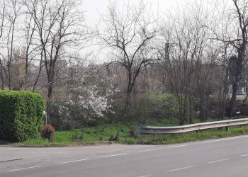 TERRENO INDUSTRIALE/COMMERCIALE - Terreno edificabile Tortona - foto 1