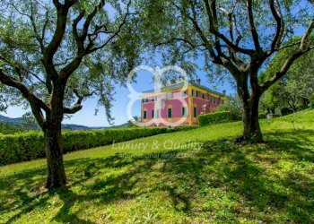 Giardino - Quadrilocale via Antonietta Massuccone Mazzini, 56, Genova (zona Bolzaneto) - foto 28