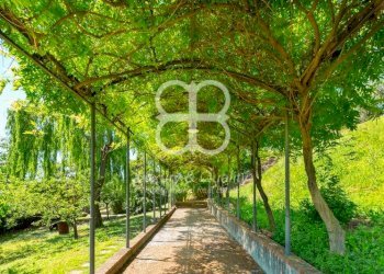 Giardino - Quadrilocale via Antonietta Massuccone Mazzini, 56, Genova (zona Bolzaneto) - foto 30