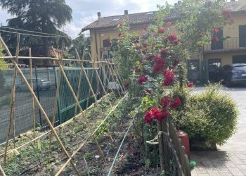 Quadrilocale Via degli Stradelli Guelfi, Bologna (zona San Donato) - foto 14