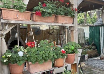 Quadrilocale Via degli Stradelli Guelfi, Bologna (zona San Donato) - foto 9