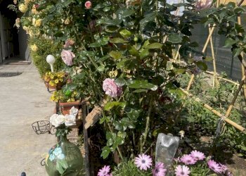 Quadrilocale Via degli Stradelli Guelfi, Bologna (zona San Donato) - foto 10