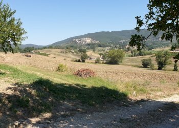 20190820_110854.jpg - Porzione di casa VOCABOLO PARA, Lugnano in Teverina - foto 3