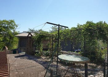 20190820_111801.jpg - Porzione di casa VOCABOLO PARA, Lugnano in Teverina - foto 26