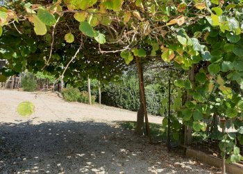 20190820_111847.jpg - Porzione di casa VOCABOLO PARA, Lugnano in Teverina - foto 27