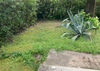 Appartamento via Magliano, Massa - foto 4